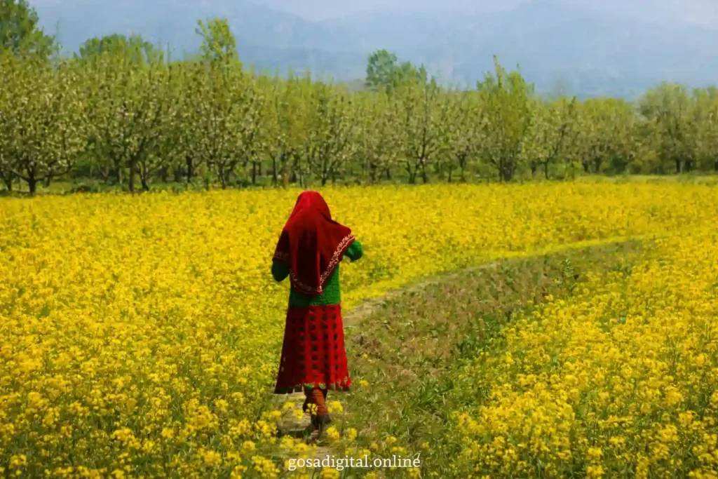 वसंत पंचमी 2026 सरस्वती पूजा